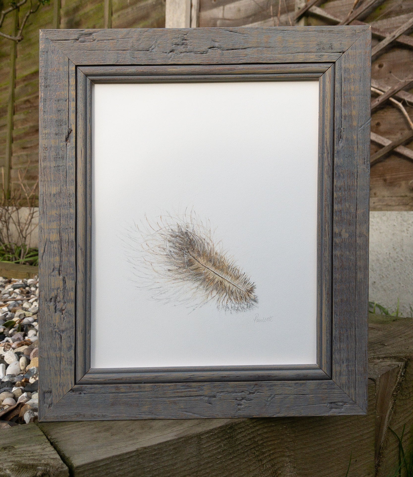 framed pencil drawing of buzzard feather