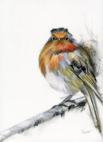 a charcoal and conte pastel on a robin with a fierce look sat on a branch