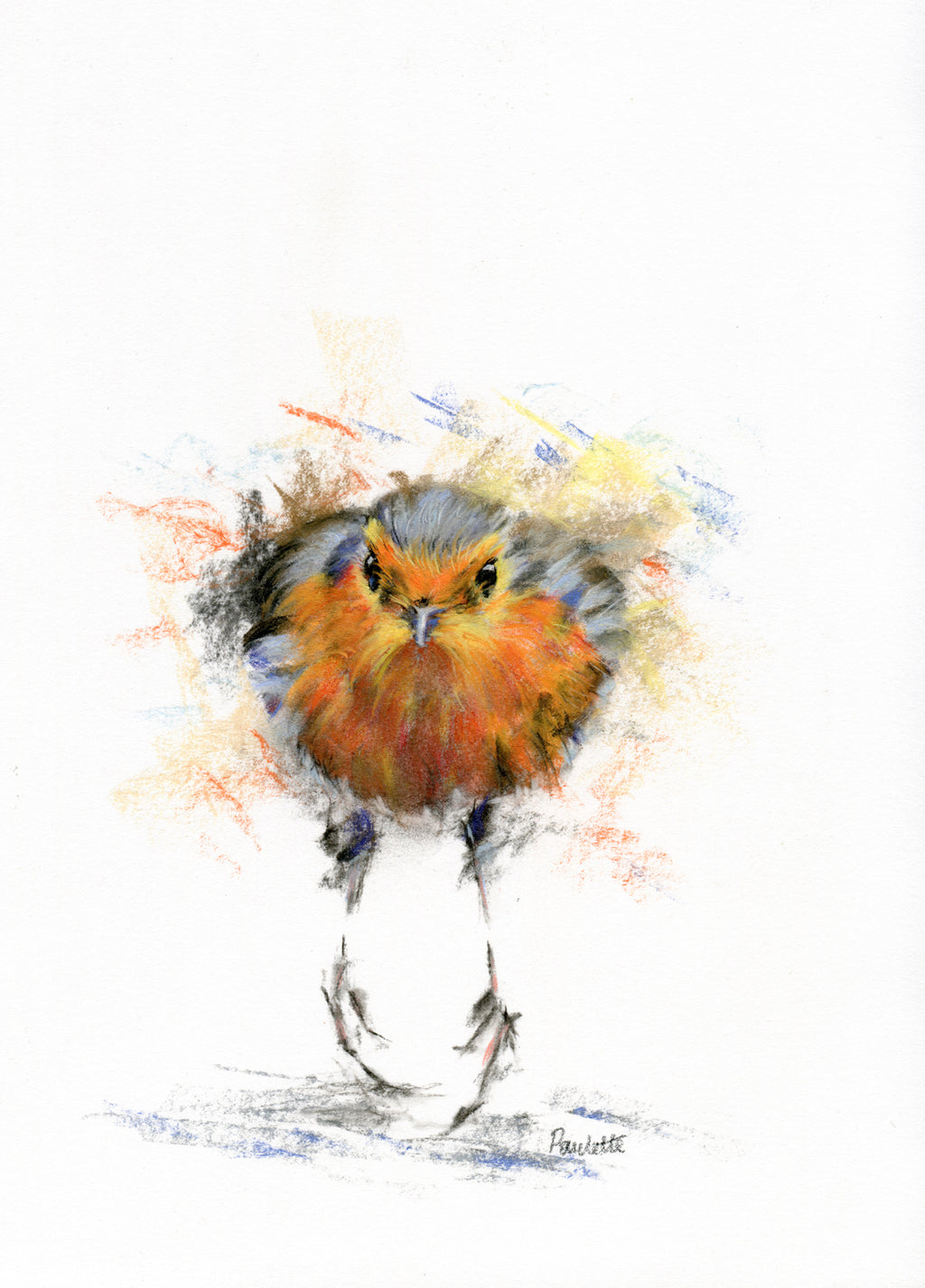 charcoal and pastel drawing of a robin running across the patio