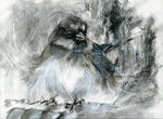 junco drawing artwork drawn in charcoal and pastel