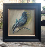 framed painting of a starling