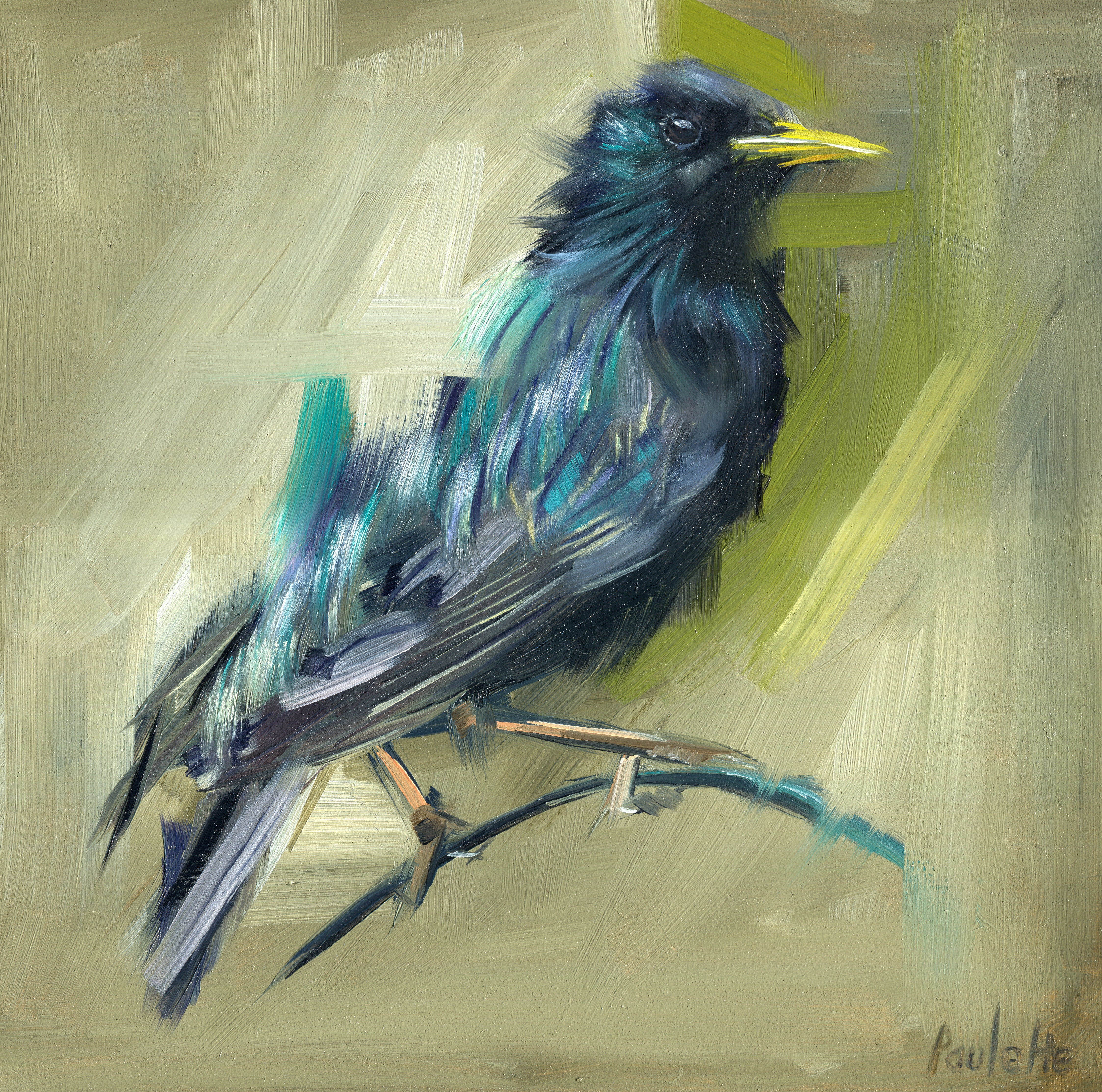 original oil painting of starling