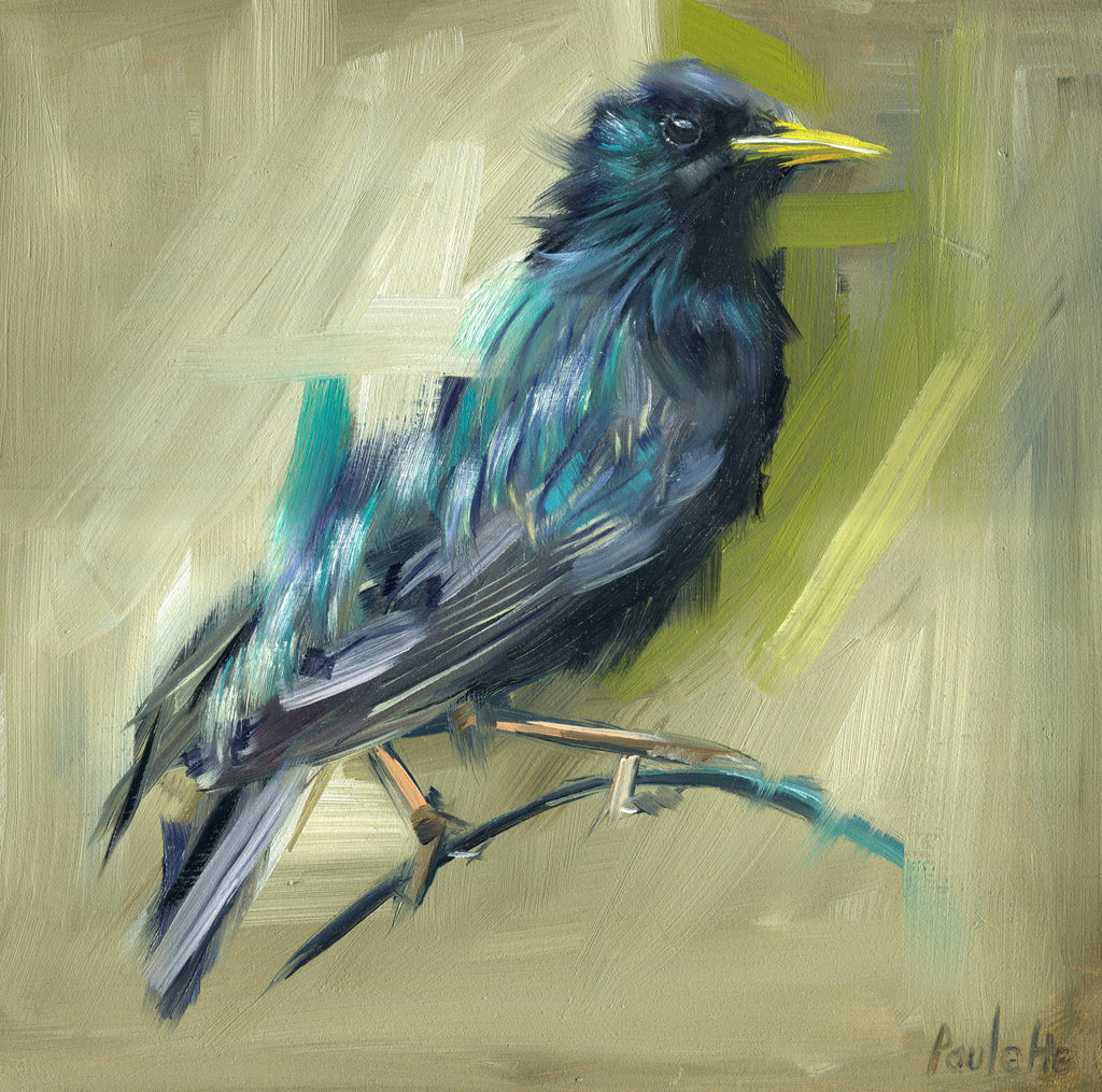 original oil painting of starling