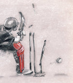 cricket drawing sweep action